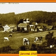 Javorn