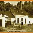 Kolinec